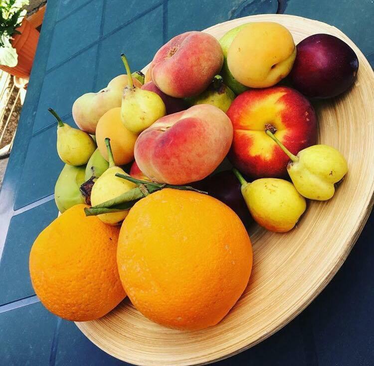 Il Tiglio Appartement Viagrande Buitenkant foto